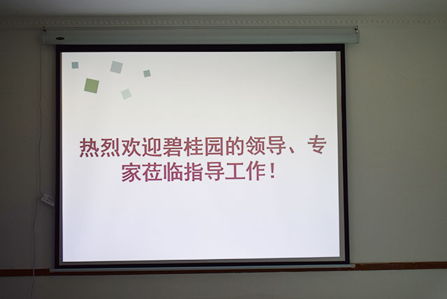 碧桂園領(lǐng)導(dǎo)、專家蒞臨德國(guó)CUALI磚麗指導(dǎo)工作